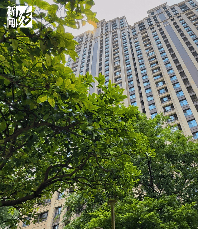 皇冠体育App下载_垃圾堆满皇冠体育App下载，臭到离谱！上海顶流豪宅业主也拾荒？邻居直呼倒大霉，不能忍！