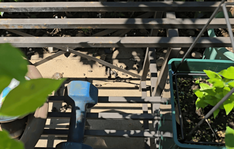 皇冠登一登二登三区别_上海一小区居民苦恼新邻居：突然搬来让人提心吊胆皇冠登一登二登三区别！不能抓不能打