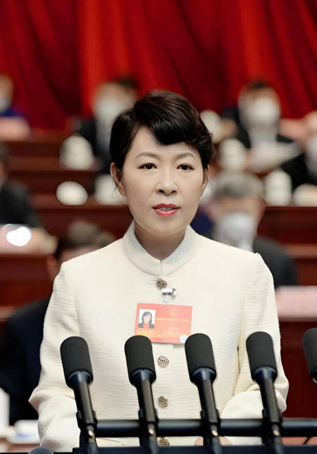 AC米兰vs克雷莫内塞
_“换装主席”王莉霞的堕落：从光鲜人设到腐败深渊