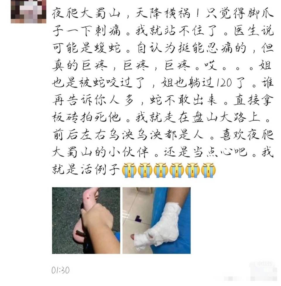 意大利甲组联赛_合肥一市民夜爬大蜀山被毒蛇咬伤 公园管理处呼吁:尽量避免夜间登山