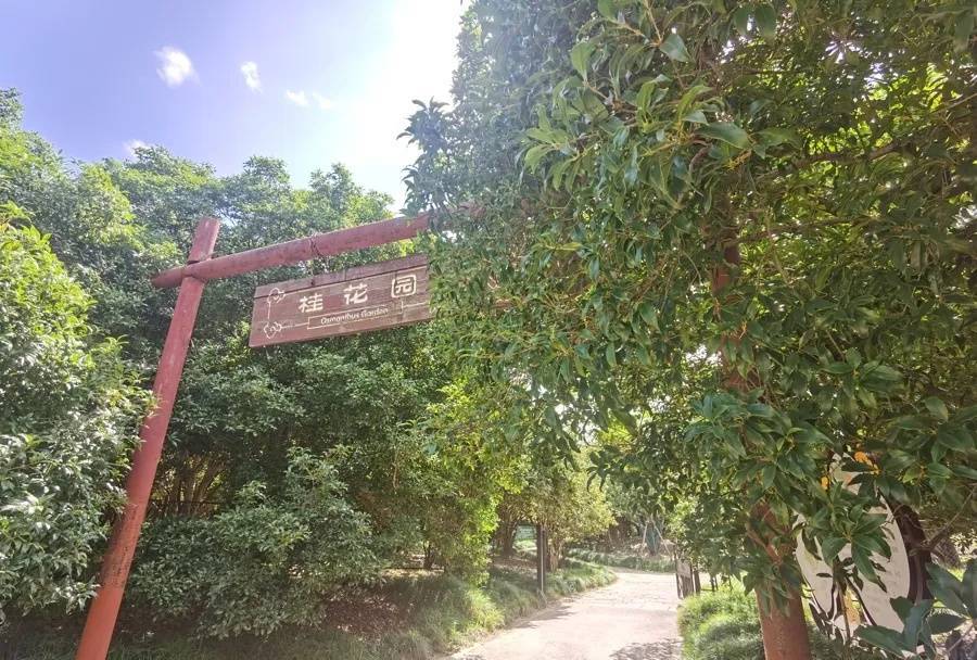 皇冠信用盘开户_上海天气大反转!雨水+冷空气来袭皇冠信用盘开户,气温将骤降...“差不多行了,再热就不礼貌了”