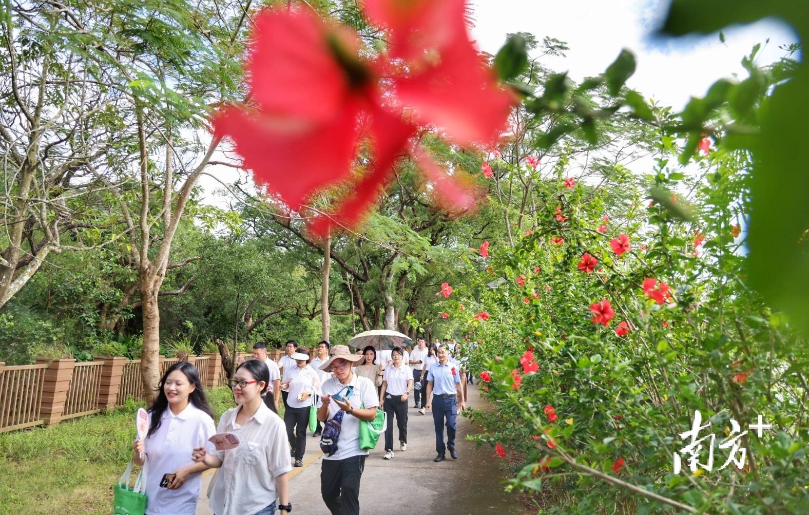 皇冠信用网代理申请
_中山城建集团“连心桥”移交皇冠信用网代理申请
，村企共建绘就桂南新画卷