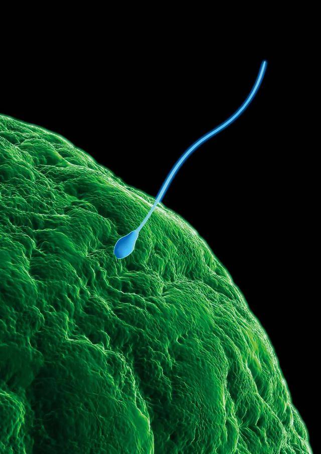 皇冠信用网注册_“捐精灾难”皇冠信用网注册，近200名新生儿极大概率患癌