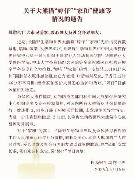 皇冠登录地址_广州长隆野生动物世界:大熊猫家和不幸离世皇冠登录地址,大熊猫婷仔体征相对稳定