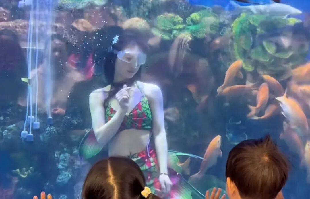 皇冠代理登3
_河南一超市内竟有美人鱼表演皇冠代理登3
,店家:演员系超市员工,平时上班,节假日兼职表演