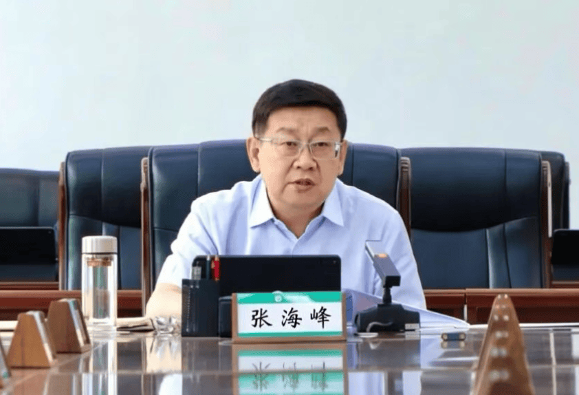 世界杯开户_涉嫌严重违纪违法世界杯开户，张海峰被查
