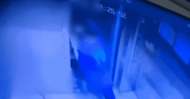 2026世界杯冠軍
_监控曝光!女童走出电梯时2026世界杯冠軍
,突然被身后陌生男孩捂口鼻勒住,“像小鸡仔一样拎走”,派出所已介入调查