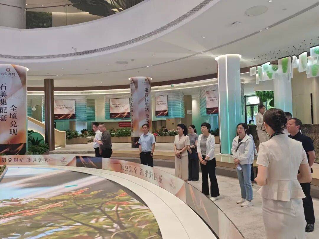 埃及足球_王丽萍赴石家庄市、雄安新区开展专题调研