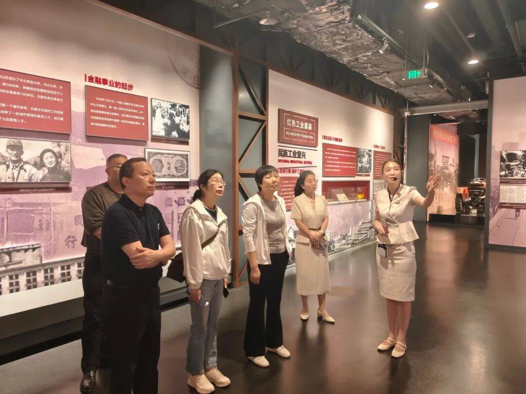 埃及足球_王丽萍赴石家庄市、雄安新区开展专题调研
