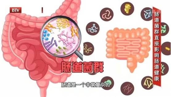 德国足球_比白糖还可怕的“隐形糖”！伤肝、长胖、升尿酸德国足球，你常吃的食物中就有……