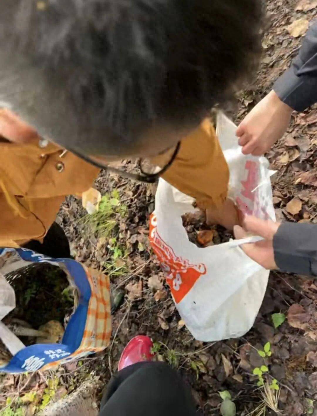 如何申请皇冠代理_情侣川西旅游如何申请皇冠代理，辛苦采摘10斤菌子，遇到当地小孩哥果断扔掉8斤，当事人：他丢的时候好潇洒